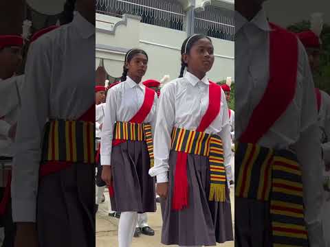 Grand Escorting of S.J.S For The Provincial Superior - Rev. Sr. Sini Mathew 27th June 2025