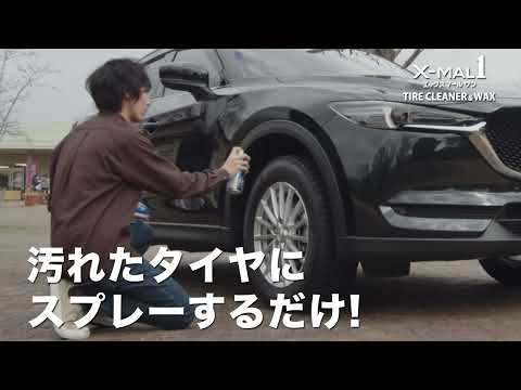 S198 洗車用品 タイヤクリーナー&艶出し剤 エックスマールワン タイヤ