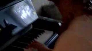 Universe by Sarah Slean cover.