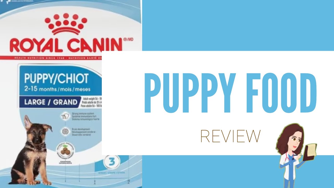 Watch video Royal Canin Large Breed Puppy: Dog food review Now Royal Canin Large Breed Puppy: Dog food review