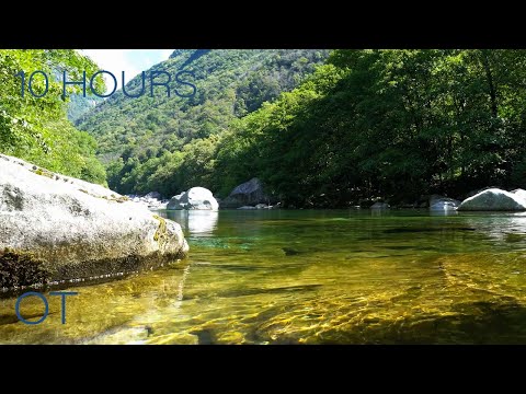 Lazy River | Flowing Water & Atmospheric Sounds for Sleeping | Studying | Relaxing | Nature Ambience