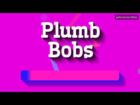 HOW PRONOUNCE PLUMB BOBS! (BEST QUALITY VOICES)