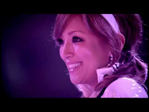 Beautiful Fighters video