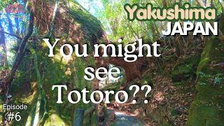 Japan Travel DEC-2025 EP #6 I Ghibli World I Yakushima Island ①