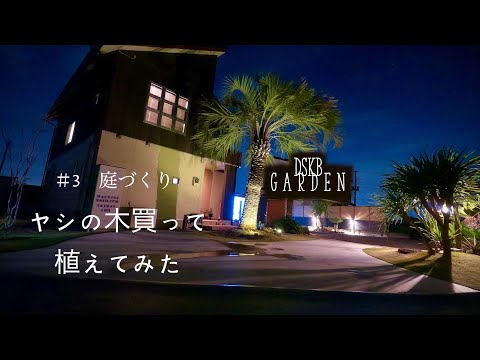 園芸 竹ヤシ、チャイニーズヤシ