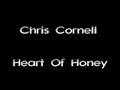 Chris Cornell - Heart Of Honey 