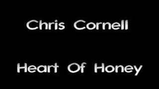 Chris Cornell - Heart Of Honey