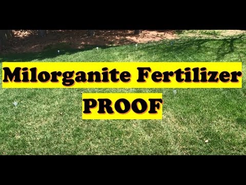 Grass Fertilizer Test PROOF!  |  Milorganite Fertilizer Results Before and After (LAWN CARE) Video