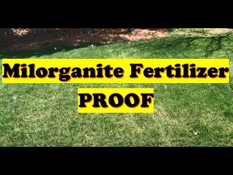 download lagu mp3 mp4 How Long For Lawn Fertilizer To Work, download lagu How Long For Lawn Fertilizer To Work gratis, unduh video klip How Long For Lawn Fertilizer To Work