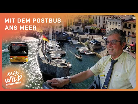 Die Geheimnisse des Palmexpress | Mit dem Postauto durch die Schweiz