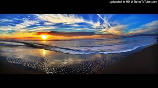 Future Sound of London- Night Scape