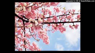 Az - City Of Gods (Acapella)