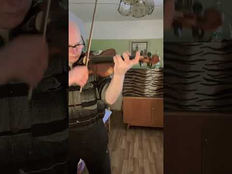 Holubí dům - housle - samouk