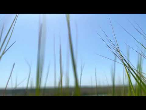 Gita - Gole Sangam (REMIX) Collection Of My Recordings