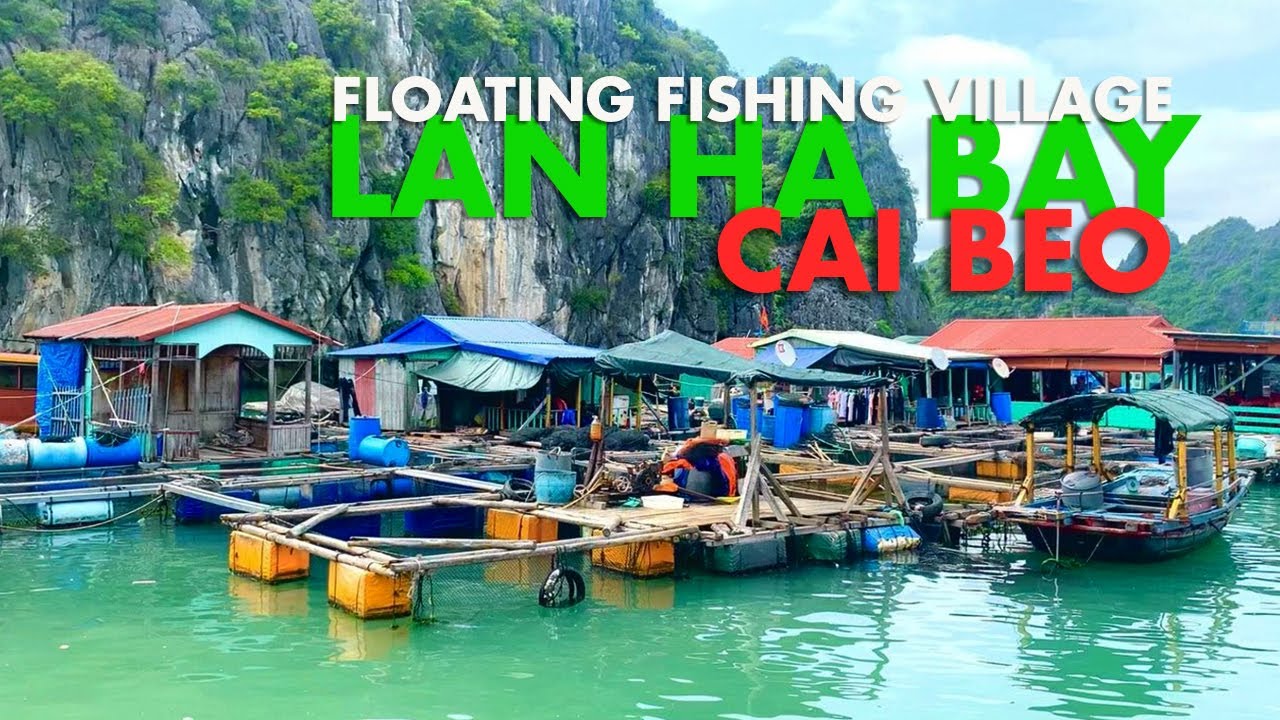Embark on a virtual tour of Cai Beo Floating Fishing Village.