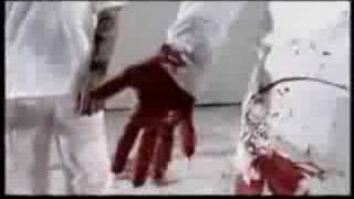 Breed 77....... Blind