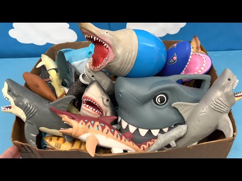 Shark Toys Collection for Kids