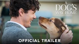 A Dog&#39;s Way Home | International Trailer | Coming Soon