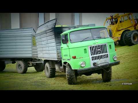 IFA W50 / L60 / K700 Maissilage Häckseln Budissa AG Teil 1