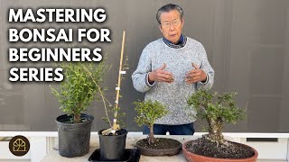 Download lagu Beginner Bonsai: How to Make Your First Bonsai for Almost Nothing! mp3