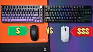 Cheap vs Expensive FPS Gaming Setup - Razer, Artisan, Steelseries, RAWM