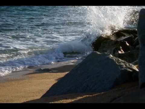 download lagu mp3 mp4 Mcginty Band Member Dies, download lagu Mcginty Band Member Dies gratis, unduh video klip Mcginty Band Member Dies