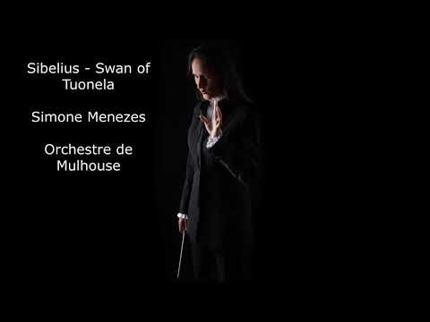 Sibelius - Swan of Tuonela - Simone Menezes - Orchestre de Mulhouse