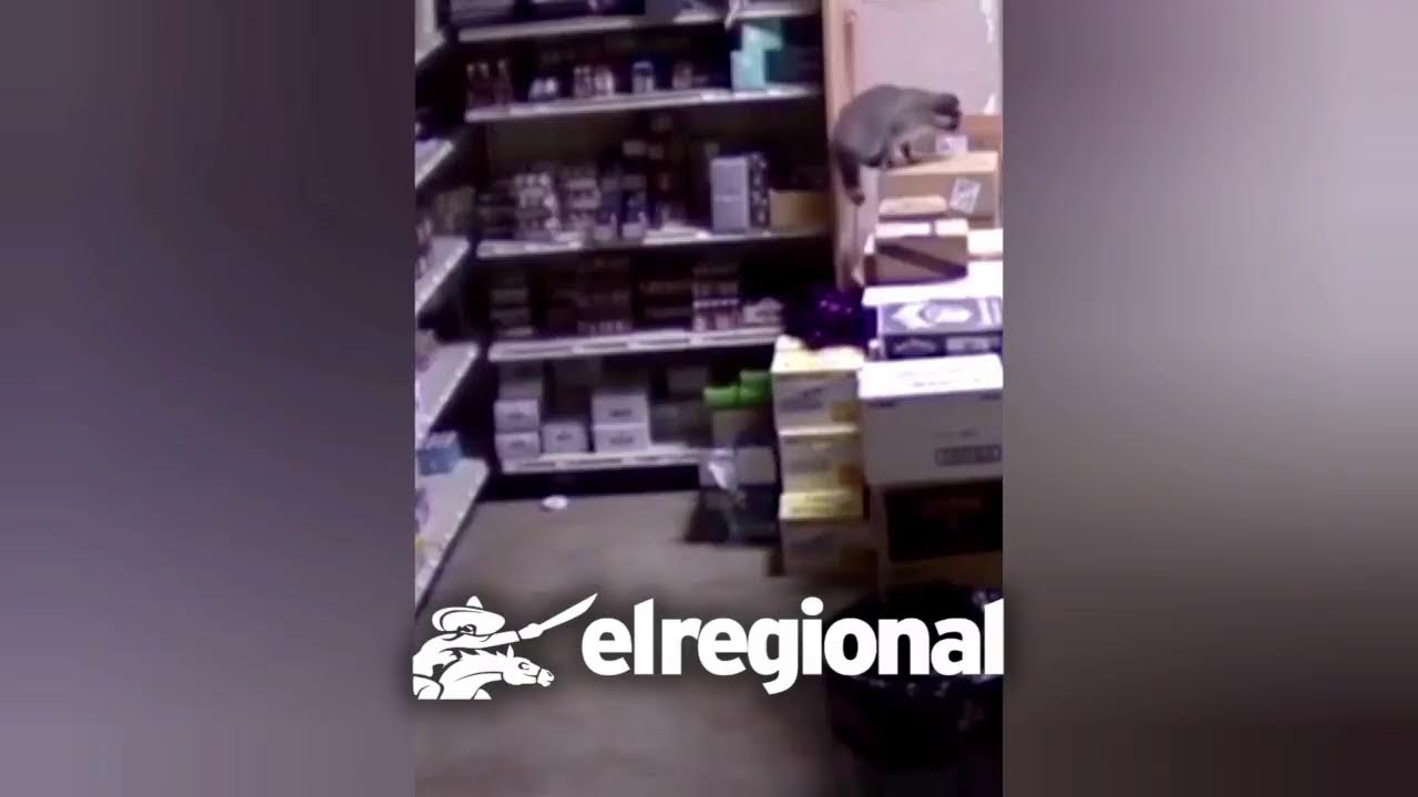 Noticiero en vivo con Eolo Pacheco - 04 Diciembre 2025