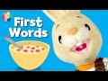 What is Cereal? | Harry the Bunny | BabyFirstTV