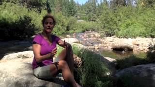 (How to unplug from social media - Camden Hoch Radiance Coach)