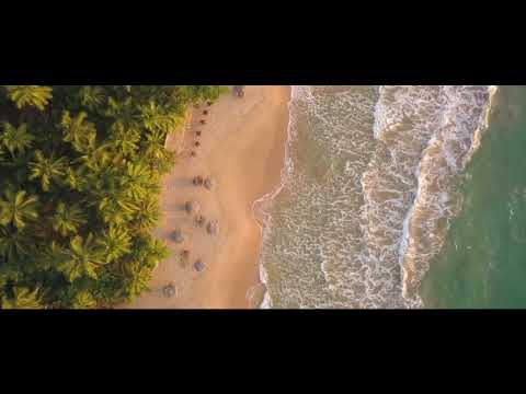 Pink Elephant Summer Mix (Robert Cristian, Serena, Alis Shuka, Moonlight, Elemer, Casian, UNKLFNKL)