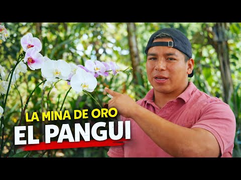 Día 14. La verdadera mina de Oro en el Pangui son sus emprendedores | Vuelta a Zamora Chinchipe 