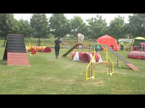 Hranická skočka III. agility pokročilí