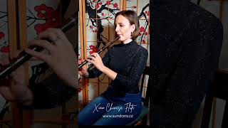 Download lagu Traditional Chinese Bamboo flute #xiao #chinese #bamboo #flute #relaxing #meditation mp3