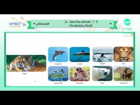 الاولالمتوسط/ الفصل الدراسي الثاني 1438 |انجليزي| 2c-Save the animals-1-E(vocabulary,Read