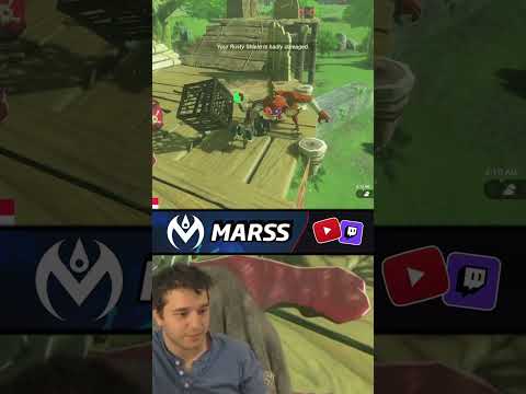 YOU CAN ATTACK WITH LITERALLY ANYTHING #TOTK #shorts