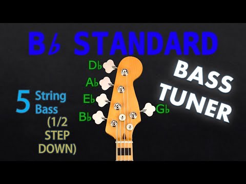 Bb STANDARD - 5 STRING BASS Tuning (Tuner)