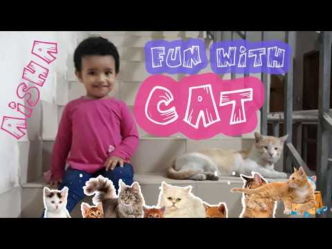 Fun with cats - Aisha Monir