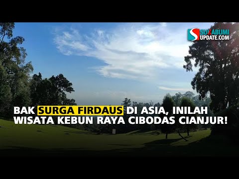 Bak Surga Firdaus di Asia, Inilah Wisata Kebun Raya Cibodas Cianjur!
