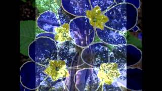 If You Miss Heaven (You&#39;ll Miss it All)--Mary &amp; Sara 1985