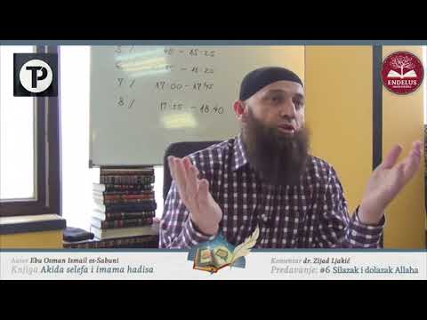 NE IZLAŽI SE POGREŠNOM TUMAČENJU! - dr. Zijad Ljakić ᴴᴰ┇Tvoj podsjetnik