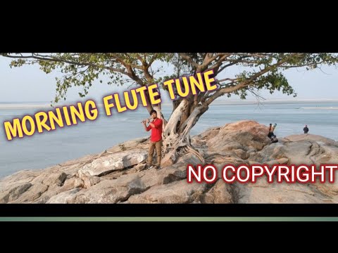 morning flute tune || No copyright fluet tune ||