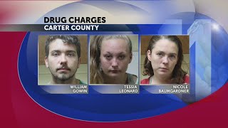 Drug arrest in Carter County