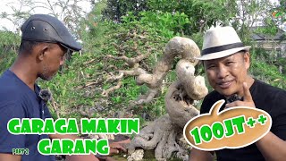 Download lagu I didn't bid 100 million rupiah, so this is the reason 🙄🙄🙄 mp3