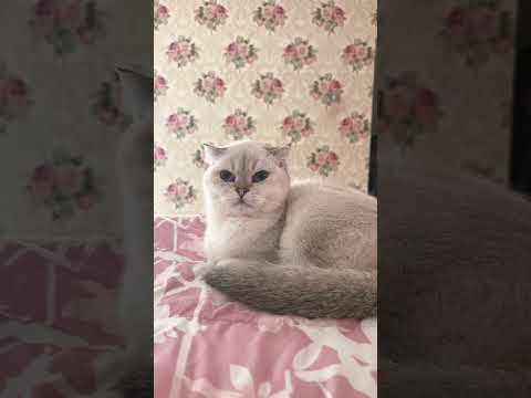 😍😍😍😍😍😍😍😍