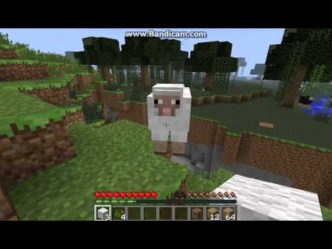 Czech MINECRAFT lets play part 1