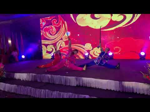2019 Wayland Li Wushu Demo at the CTCCO New Year Gala