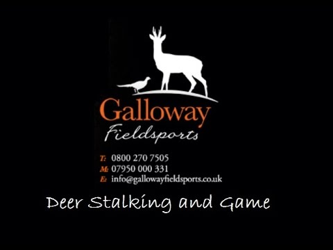 Safety  - DSC1 Audio CD Deer Stalking Certificate