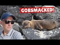 I Went On A Galapagos Cruise PACKED With Surprises
