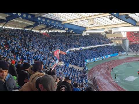 1. FC Nürnberg Amateure - TSV 1860 München - Einmal Löwe immer Löwe